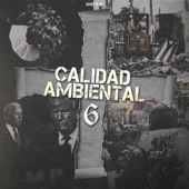 Calidad Ambiental 6 artwork