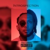 Introspection - Single