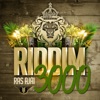 Riddim 3000 - Single