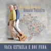 Vaca Estrela e Boi Fubá - Single