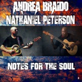 Notes For The Soul artwork