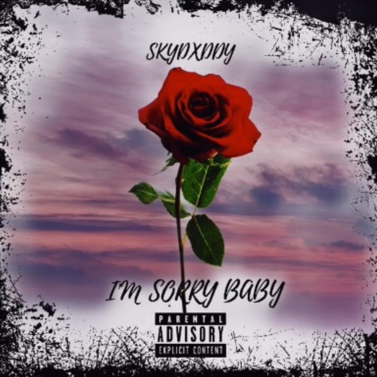 I'm Sorry Baby - Single by SkyDxddy on Apple Music