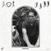 Joe Vann - Houseplants