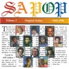 The Best of S.A. Pop (1960 - 1990) Vol. 2