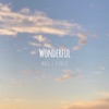 Wonderful - Single