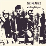 The Meanies - It's True