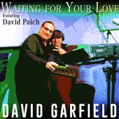 Waiting for Your Love (feat. David Paich, Ray Parker Jr. & Amy Keys) [Radio Version] artwork