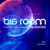 Big Room Gladiators, Vol. 1 artwork
