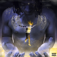 UnoTheActivist - 8 artwork