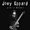 Stranded in a Treetop / Amazedisgrace - Joey Eppard lyrics