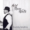 Hold These Walls - Single