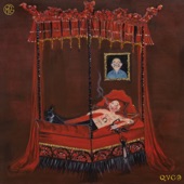 QVC9: QUELLO CHE VI CONSIGLIO, VOL. 9 artwork