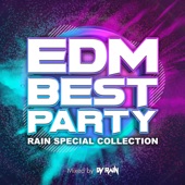 EDM BEST PARTY -RAIN Special Collection- mixed by DJ RAIN (DJ MIX) artwork