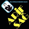 Bu Ayrılık Neden Oldu - Single