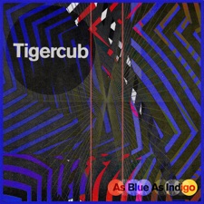 Blue Mist In My Head artwork