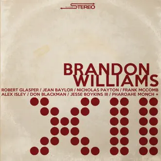 Now I Know (feat. Jesse Boykins Iii, Robert Glasper & Damon Warmack) by Brandon Williams song reviws