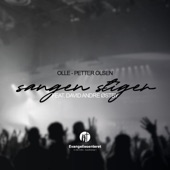 Sangen stiger (feat. David Andre Østby) artwork