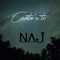 Canto a Ti - NAJ lyrics