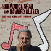 Harmonica Shah & Howard Glazer - First Train South