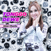 Tonggo Dewe by Intan Chacha - cover art