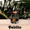 Pablito - Never lyrics
