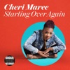 Starting over Again (7"Mix) - Single