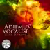 Adiemus V - Vocalise album cover