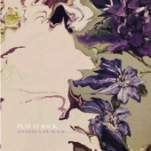 Anthea Feaver - Swan Serenade
