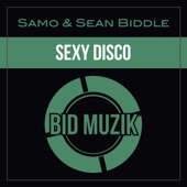 Sexy Disco artwork