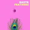 Feathers - Single