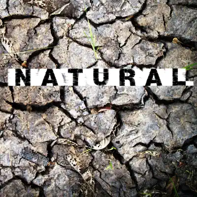 Natural - Single - Caleb Hyles