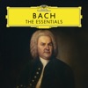Bach: The Essentials, 2017