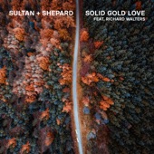 Solid Gold Love (feat. Richard Walters) artwork