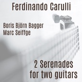 Serenade No. 1 In A Major, Op. 96: III. Finale, Poco Allegretto artwork