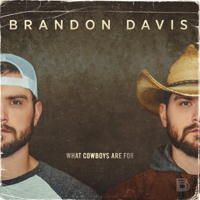 Brandon Davis - What Cowboys Are For artwork