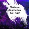 Nariman Mamedov - Fall Rain