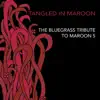 Tangled In Maroon: The Bluegrass Tribute to Maroon 5 album lyrics, reviews, download