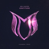 Gratitude (Extended Mix) artwork