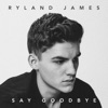 Say Goodbye - Single