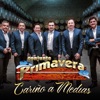 Cariño a Medias - Single