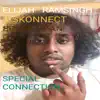 Special Connection (feat. Diskonnect & Brown Man) - Single album lyrics, reviews, download