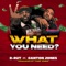 What You Need (feat. Canton Jones) - B-Rut lyrics