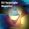 DJ Neutriglo - Big Hero 6