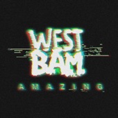 Amazing (feat. Steve Van Velvet) artwork