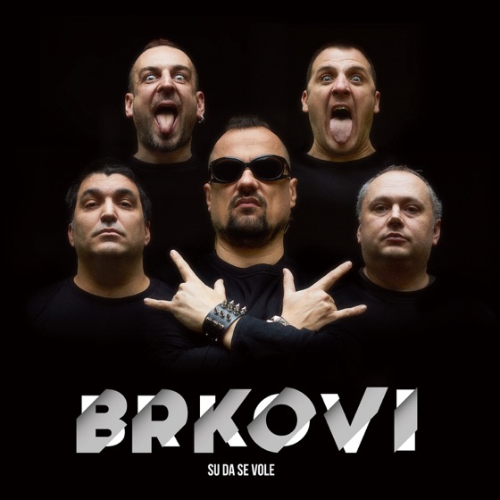 Cover artwork for Draga, zapio sam djecu