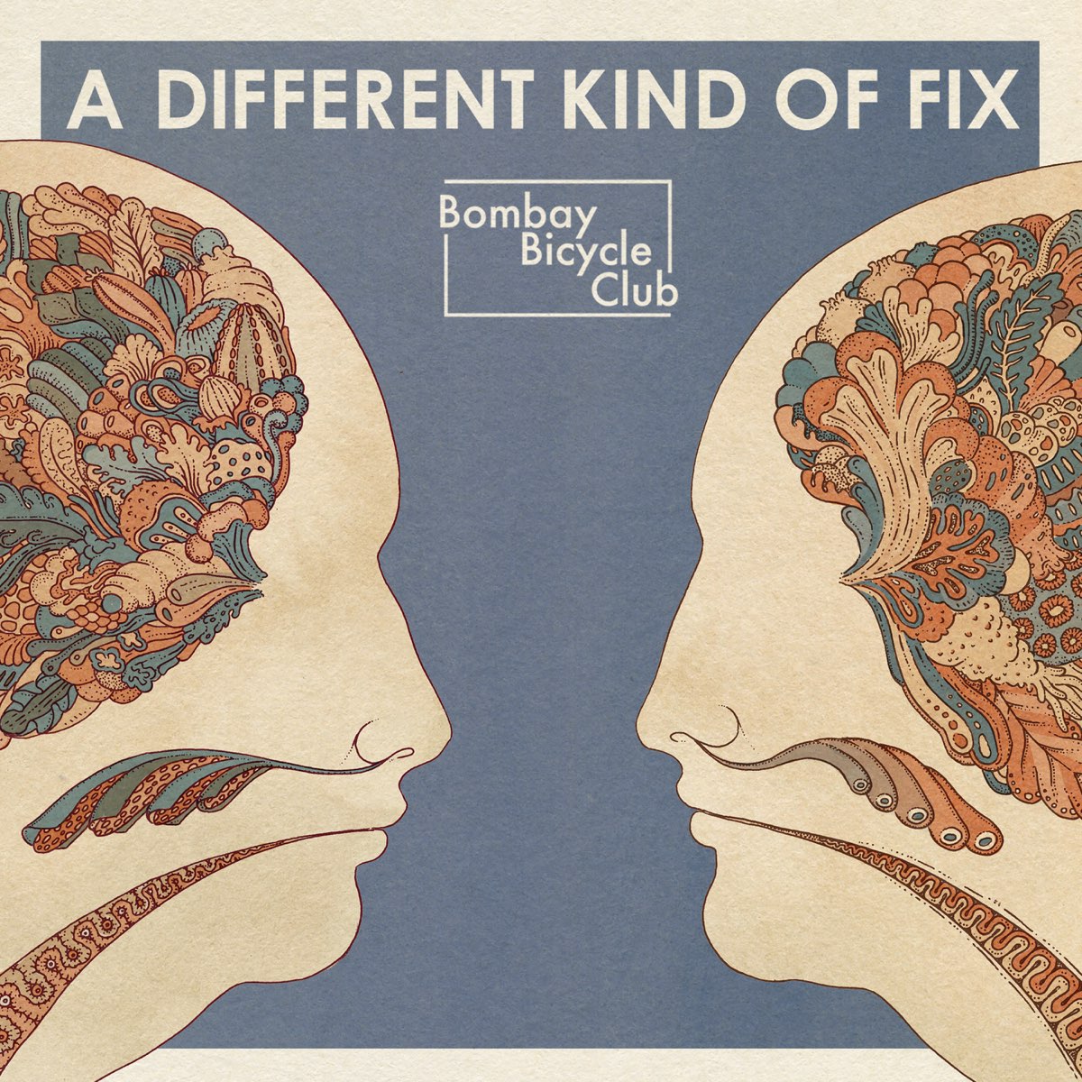 A Different Kind of Fix by Bombay Bicycle Club on Apple Music