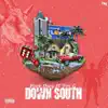 Down South (feat. Tom G) - Single album lyrics, reviews, download