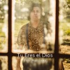 Tu Eres el Dios - Single, 2020