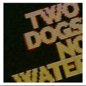 Alive - Two dogs no water