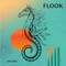 Companion Star / The Coral Castle - Flook lyrics